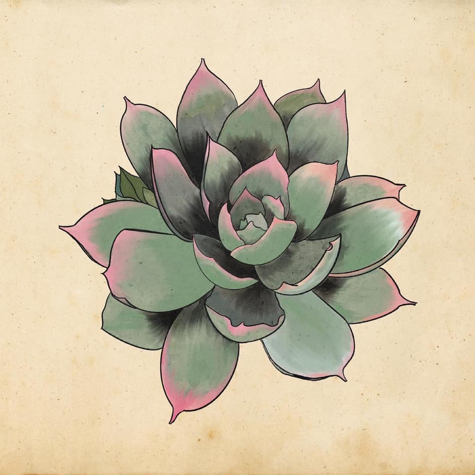 succulent artworks Succulent" by Ghost Etching Original Artwork – The Kitschy Cauldron