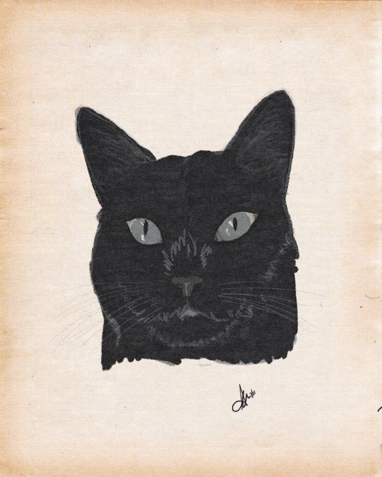 Black Cat Sticker by Ghost Etching