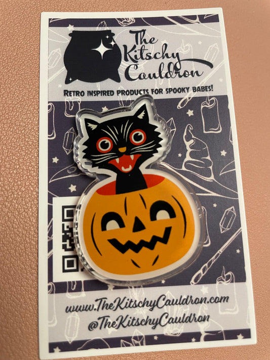 Cat in Pumpkin Pin